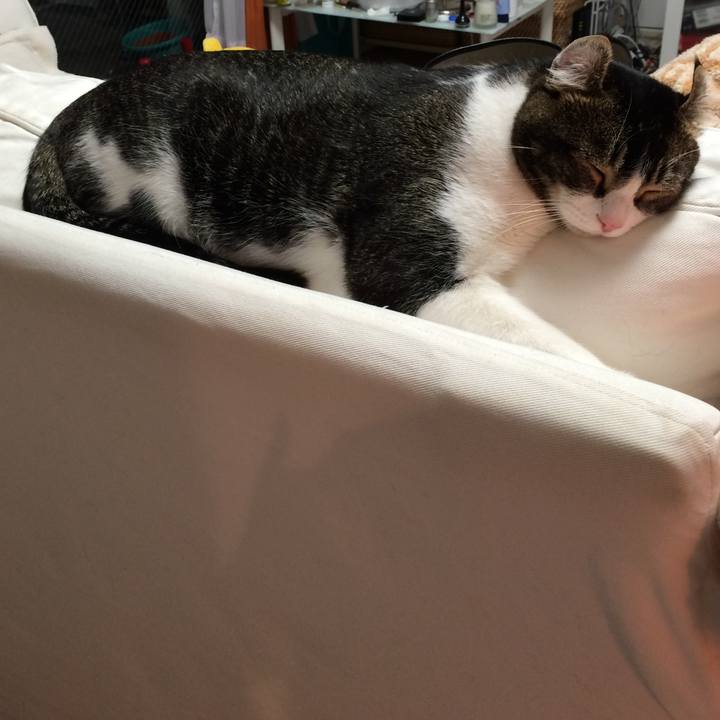 7e4ca83b ccec 4d4d 9ed7 fc9c881578c9