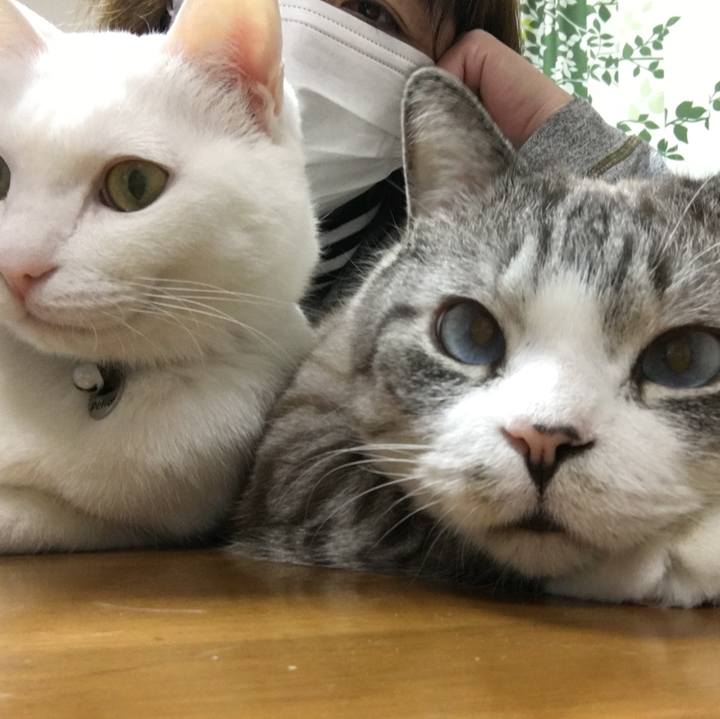 7e4d261c c454 4774 ae45 5451c6c9db58