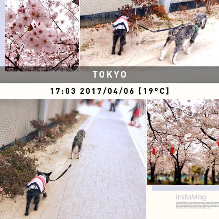 7e4e2e38 9eea 4b64 b517 34fe3d7a1d5c