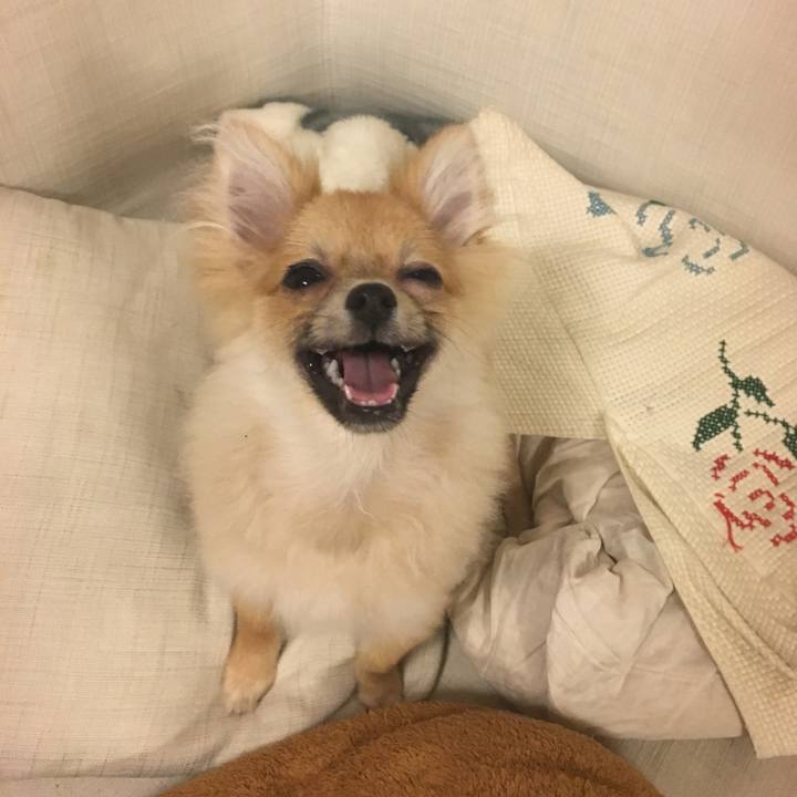 7e4e371c e752 4a79 9b17 c83bb542fd18