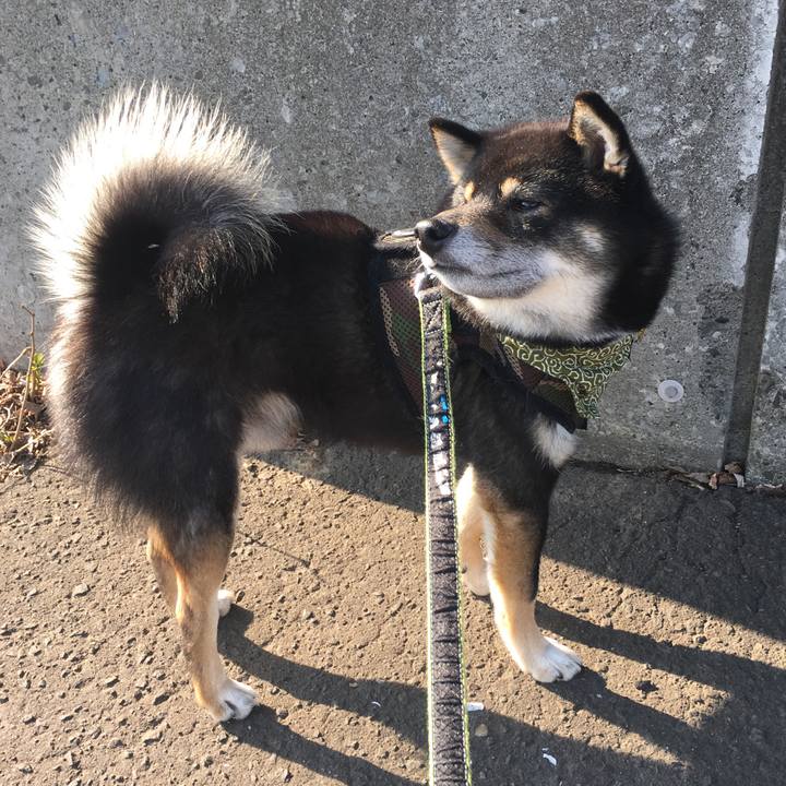 7e4e4adb 33eb 4756 a665 40dfba8288eb