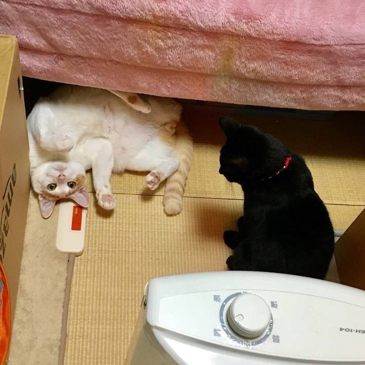 7e4e5d23 887c 445a b5a1 03ac42366d12