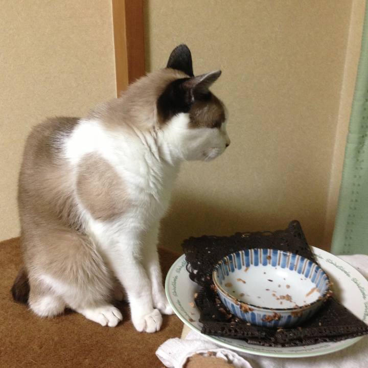 7e4efc9b 4385 41b9 80fe 41c17b764121