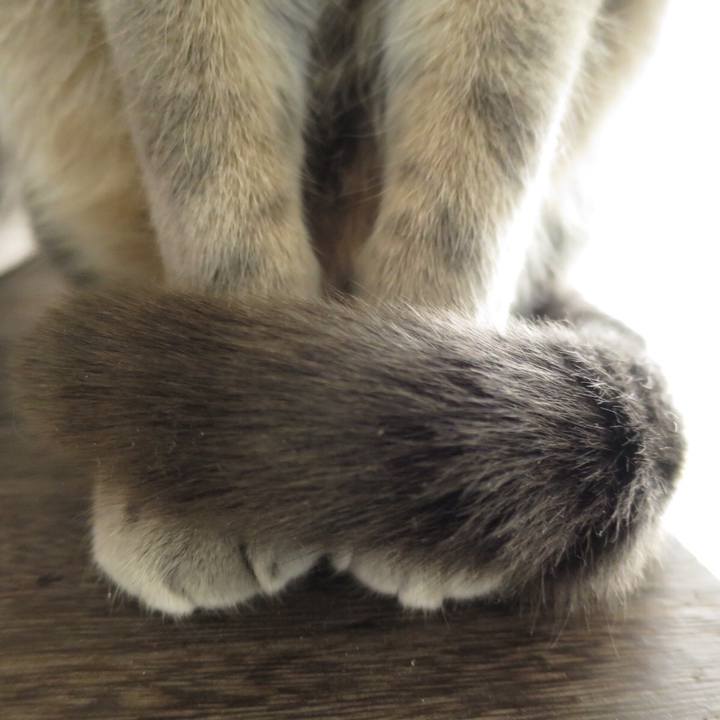 7e4fcbf9 2096 4d92 b7b9 67ff5b53f261