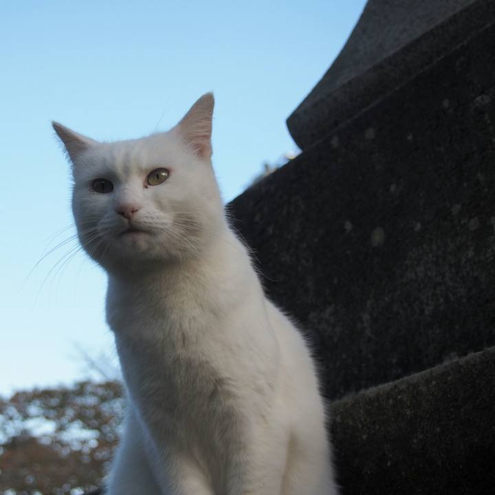 7e50c0f3 afc1 4d6d a752 1a3d1df2a306