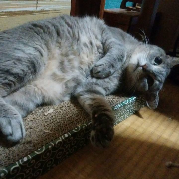 7e5137ae a681 46b1 b88c 2fe528ae5f54