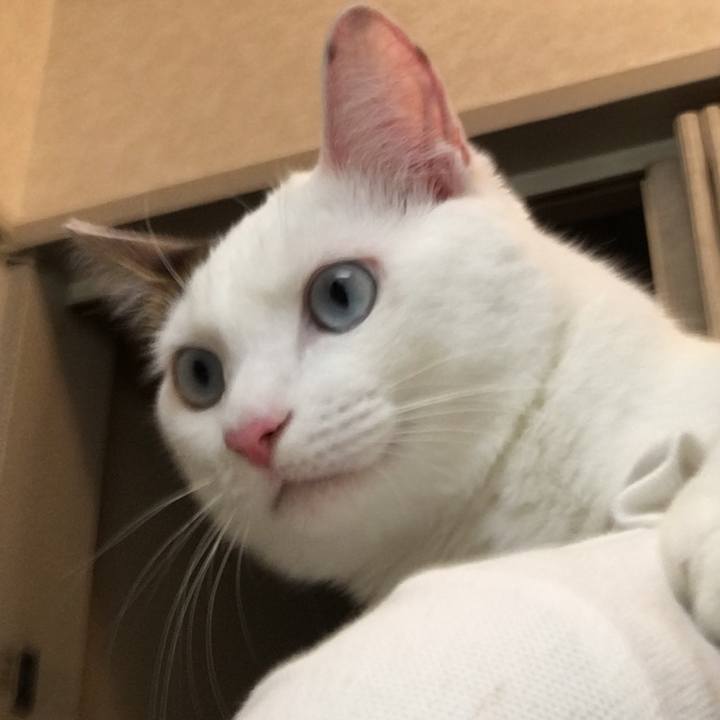 7e5137d9 5fdf 449d 93e4 500672c0f7a1