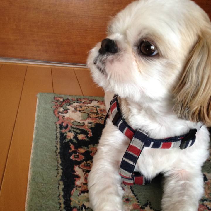 7e51e90d 86d4 4d9d bdfd 7638c10f144d