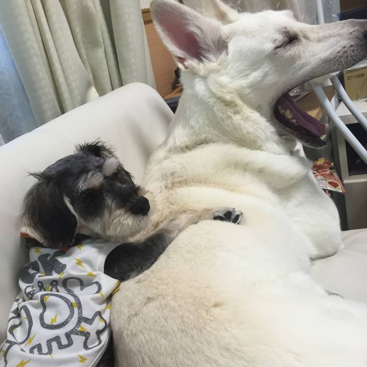 7e523f86 92cf 4bb2 97a7 8db751bfc8c3