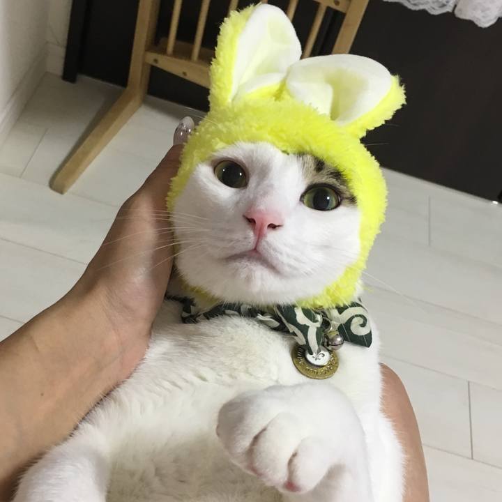 7e5287f1 2aeb 43ae a24f c0083bc13de9