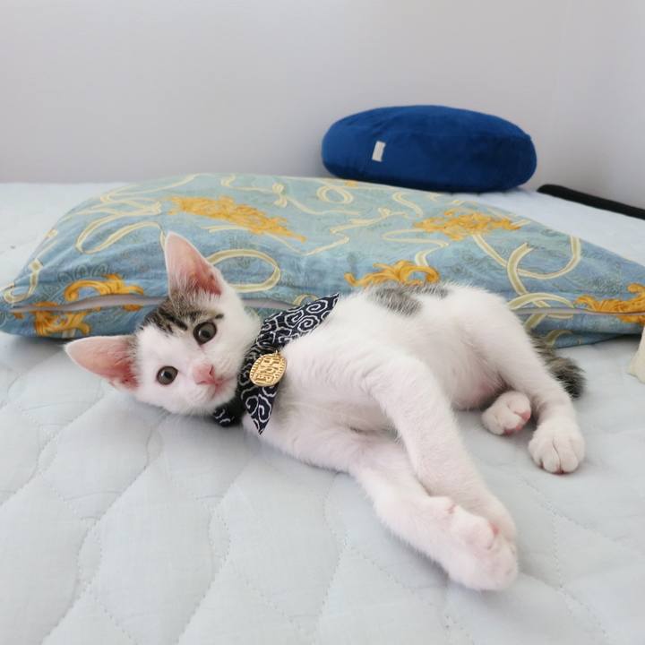 7e52e97b 8ba7 410c b3b7 01b4b0d8d597