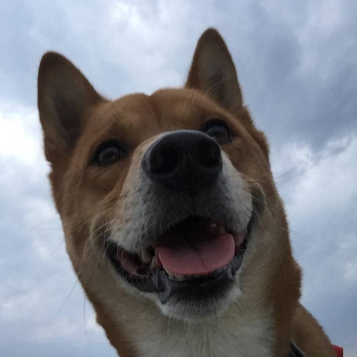 7e539184 dc07 4af3 b53a 8cc1ee65d387