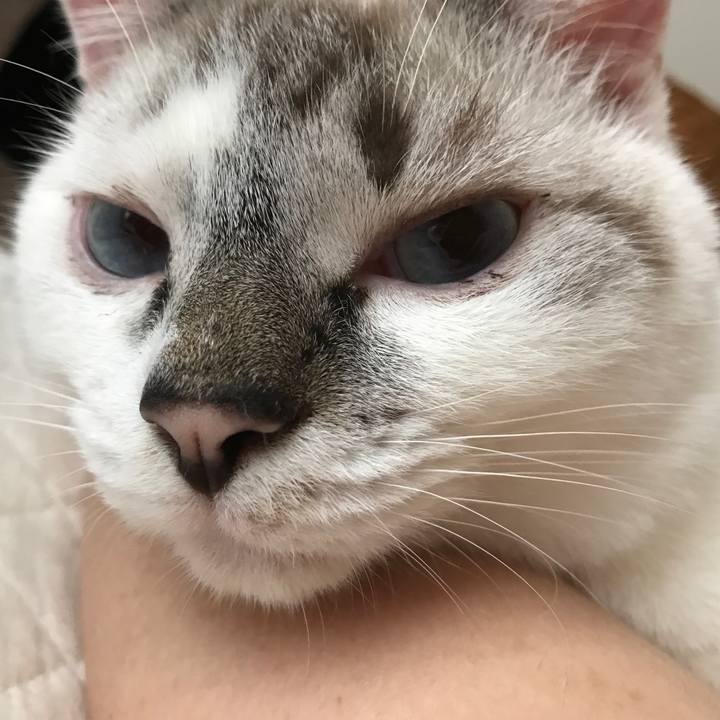 7e539f89 a4f3 4543 b832 8df7a3b55f35