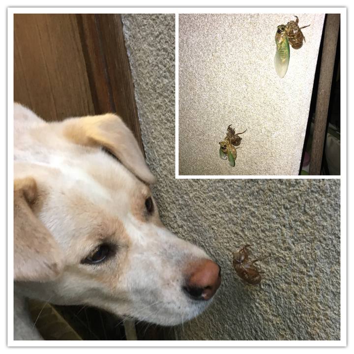 7e53abcb 4a7a 4fb8 9e02 fd74eecb226a