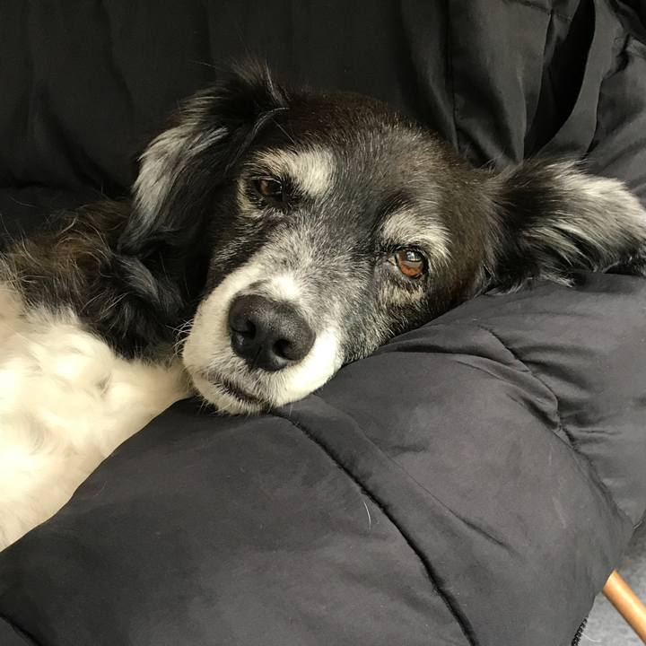 7e548826 c017 410a 9d65 47bb2f83d863