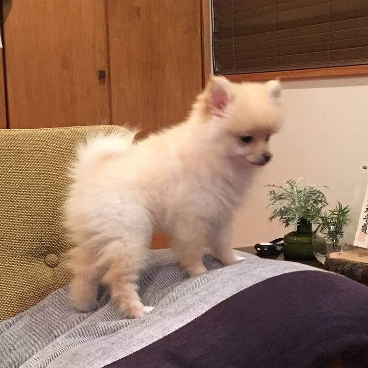 7e5499b4 c9b5 4784 872c cd5dc188067e