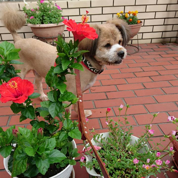 7e55e2e9 b3b2 441f 8b45 9b7a72c53e8b