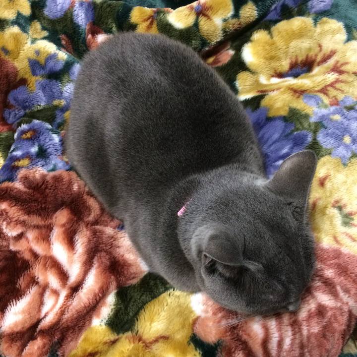 7e56255b 0e8d 4128 b0e1 e789c2dd89d6