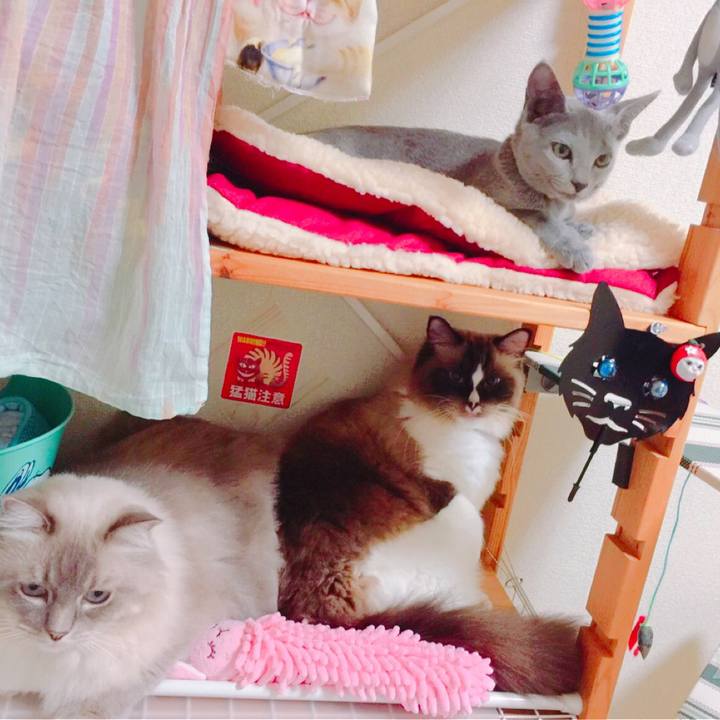 7e568f4e d936 45ef 9a54 f1ce7912d4ac