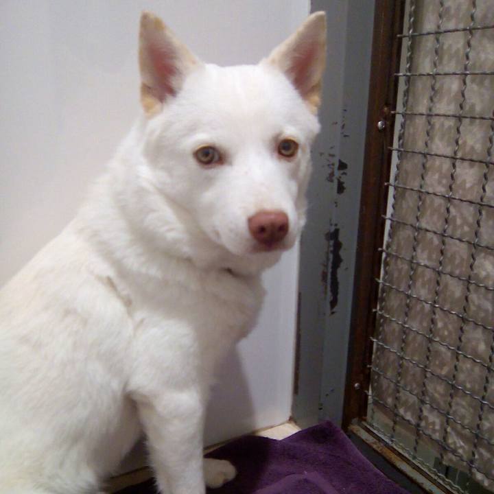 7e56912f 7a60 4fe7 864b 880f5c1b1276