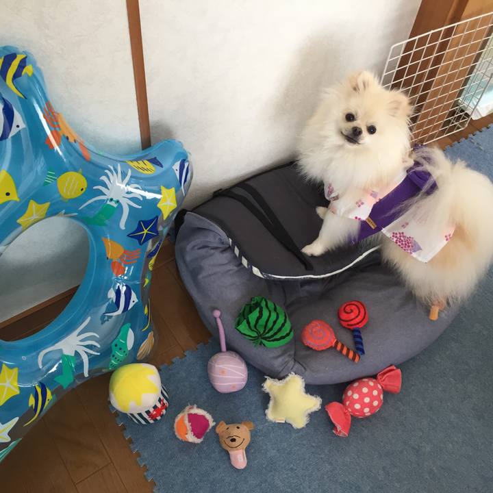 7e56f248 2591 47f7 b475 dfd0fa790028