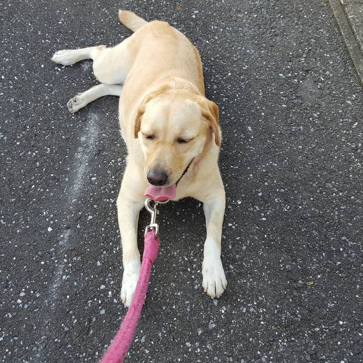 7e56f63d b244 4c9e b54d e1f31c2f606c