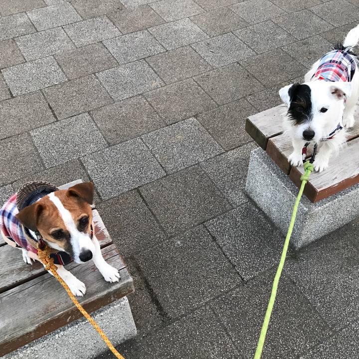 7e575b95 e186 4c29 b233 e520b2c2a681