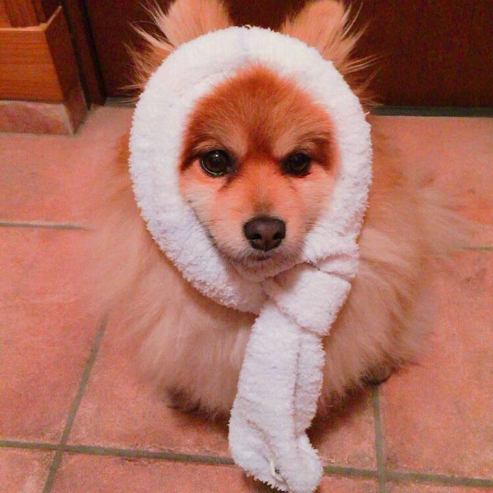 7e57d9af 92d5 4209 9d55 872c7dcb6c6e