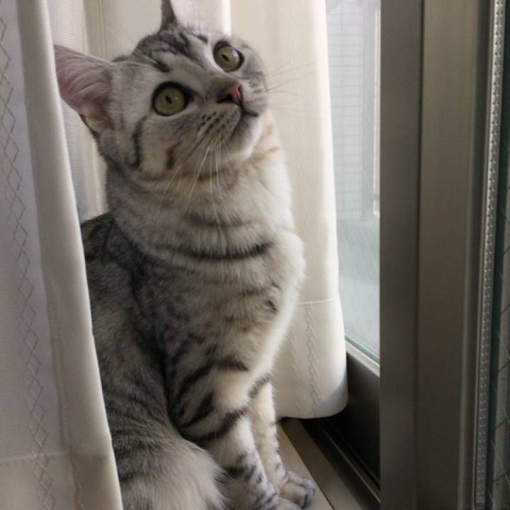 7e5832f4 f82f 41a5 a21a bf88a022745d