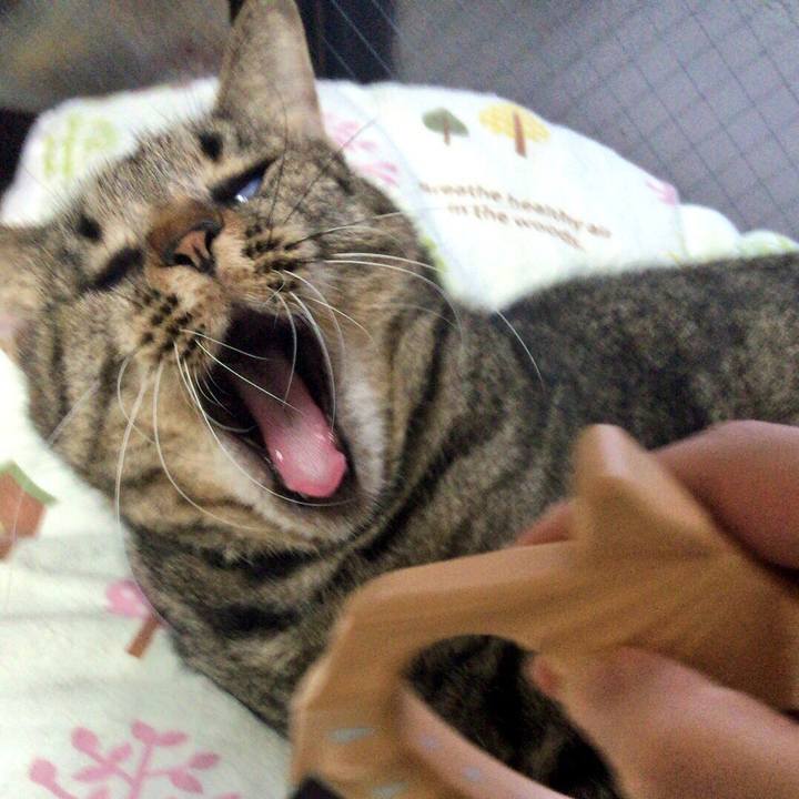 7e589a34 1d3e 4958 ae45 7f99dc8aaaf7