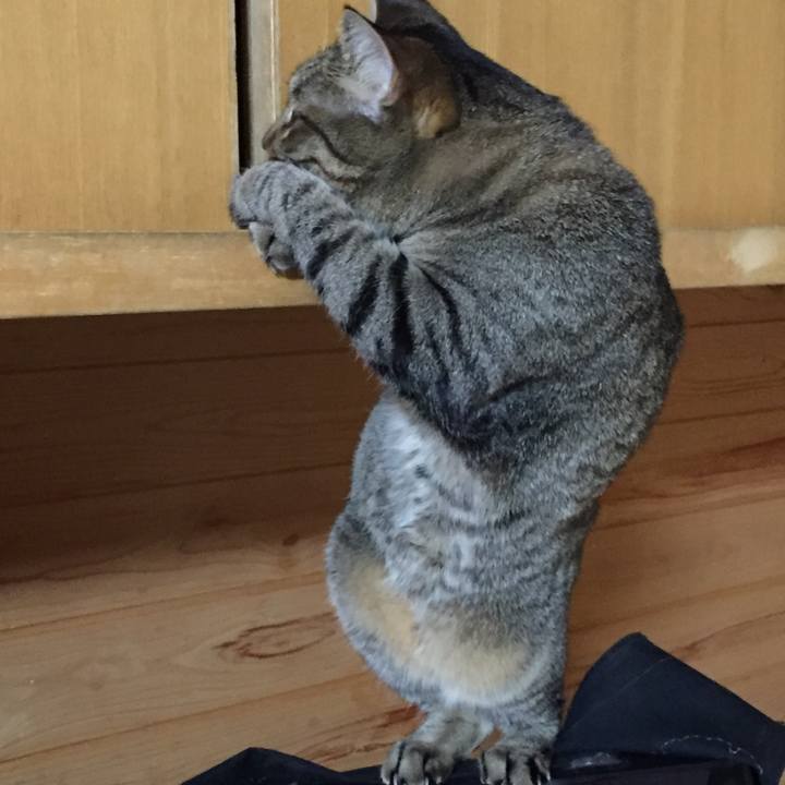 7e599490 27c0 4616 8308 7cf883700758