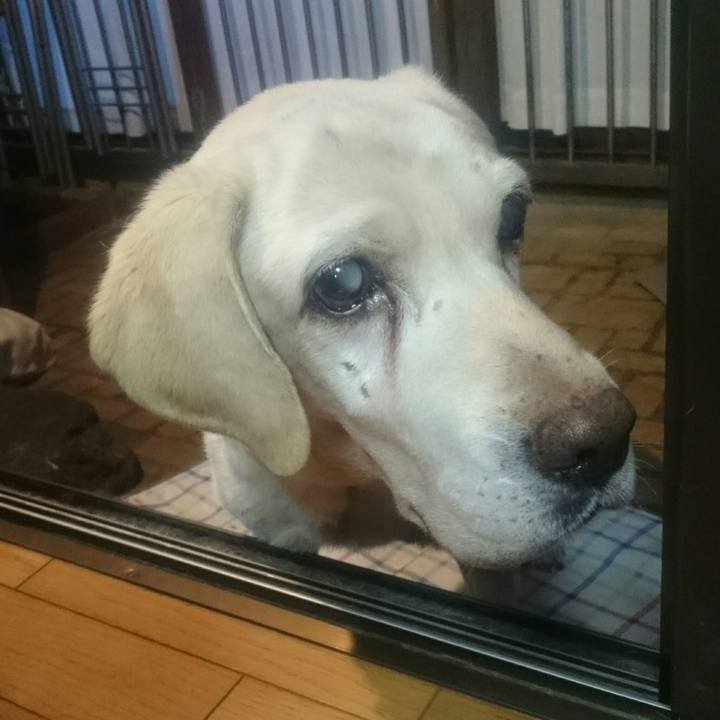 7e599650 5e41 4abc aa81 2c9aeeb5c71b