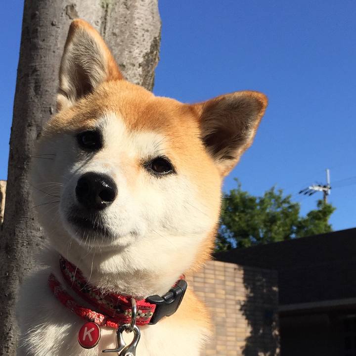 7e59e5c1 9b36 4a6b 9626 0252c3a27bc7