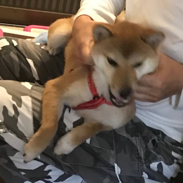 7e59f8d3 9a4b 4101 9f6b 494245c183e2