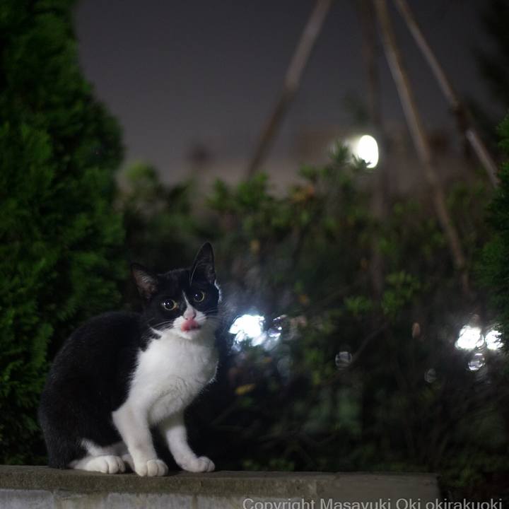 7e5a24c0 851a 4fe5 84c5 9bc059a158f4