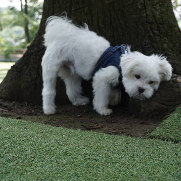 7e5b2fee 575b 4fce a58c 200c77dc0f22