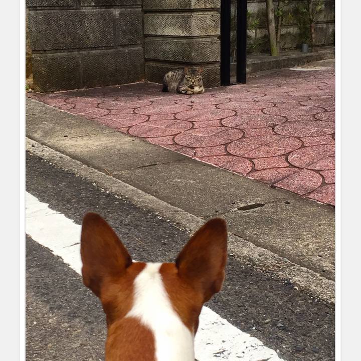 7e5b37bc b908 4137 acd7 b9e824afbca1