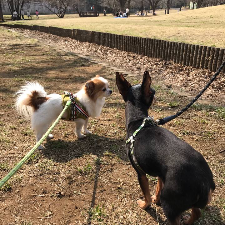 7e5ba503 4dc7 4f69 8744 8d64f69affcf