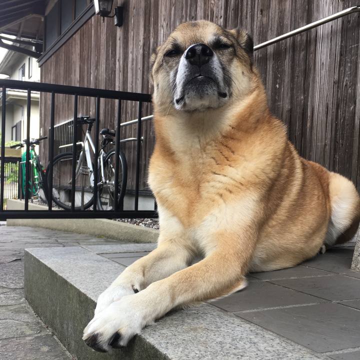 7e5bf4fb 032e 4d08 9a4a 6b24f610168f