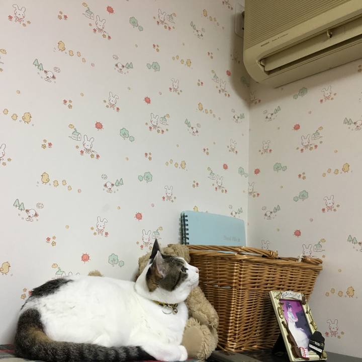 7e5c2193 4a25 4526 9c92 bce415412a5f