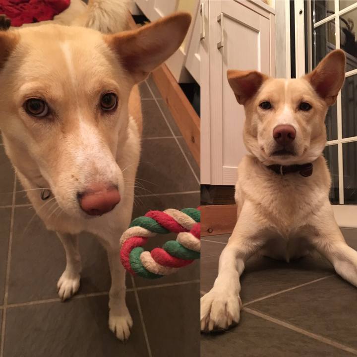 7e5c68b0 740f 4753 959f af6b1f0285f0