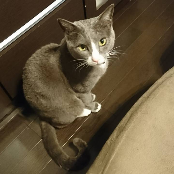 7e5c9b05 9275 44de ba4d 6056bc995595