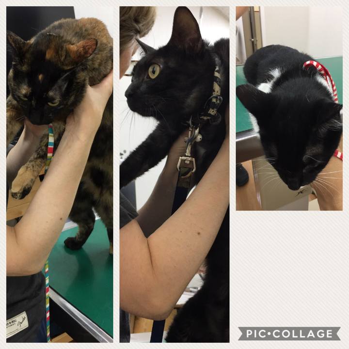 7e5d2d1d a844 496d 8b5f ce9afff2503e