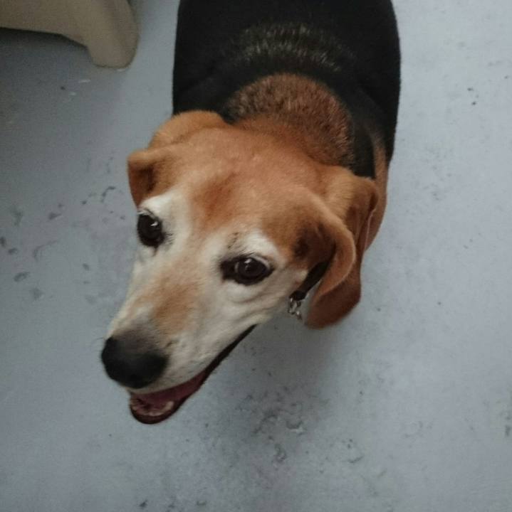 7e5d519c 093d 47d3 a7f3 ea9459813f0e