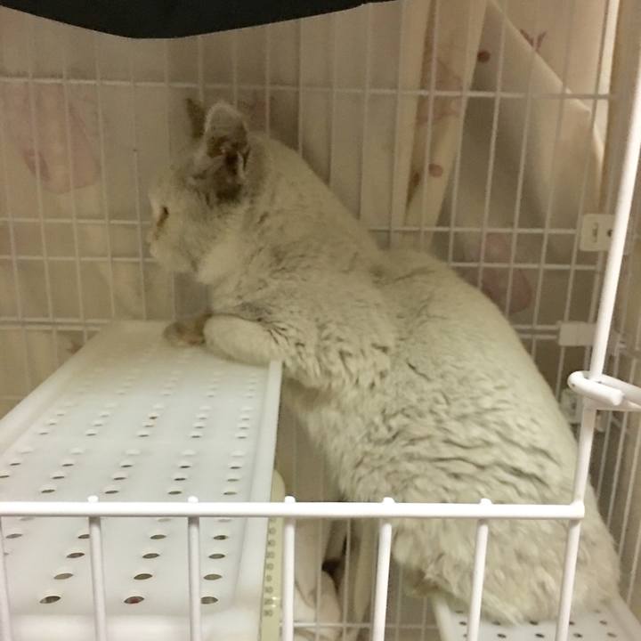 7e5d7d87 4077 4392 a20e d977ffa9fafa