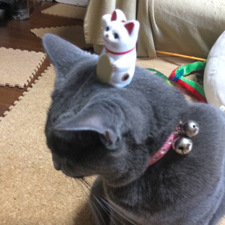 7e5d98d6 2b1e 4d4f a0ed 78313a3feb44