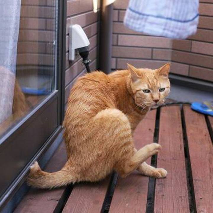 7e5dd341 2bc3 4c2b 9e2d 66157017dfb7