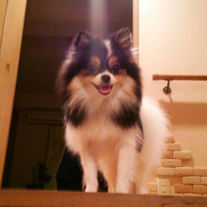 7e5e74f8 b04d 494d ac20 0fa3aa5064d7