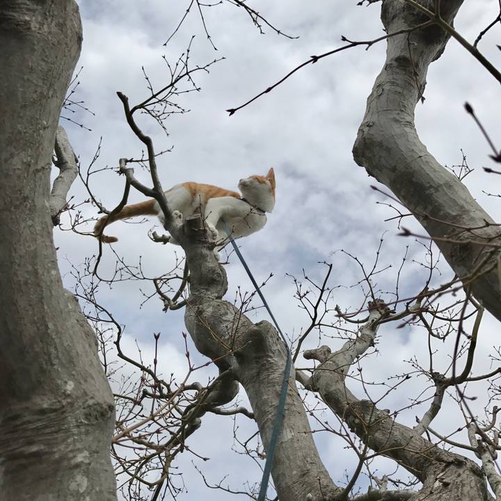 7e5e7732 ecfb 441b 853d 654fbc63605d