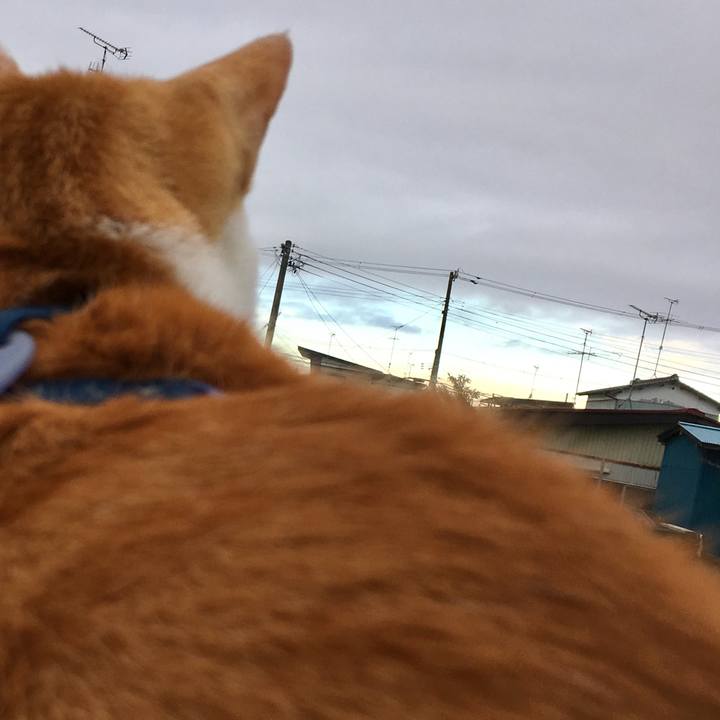 7e5e7768 8cd4 4f6c 8a48 28a9e97e2717